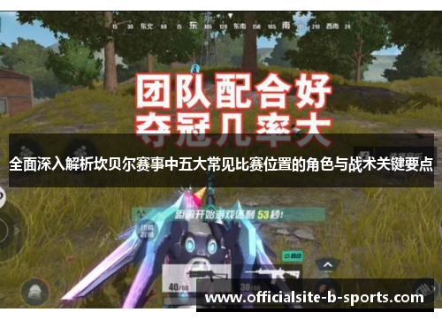 全面深入解析坎贝尔赛事中五大常见比赛位置的角色与战术关键要点