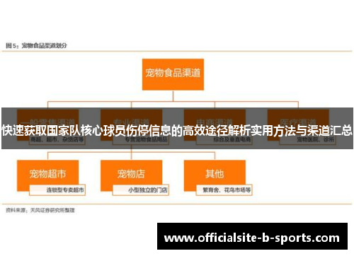 快速获取国家队核心球员伤停信息的高效途径解析实用方法与渠道汇总