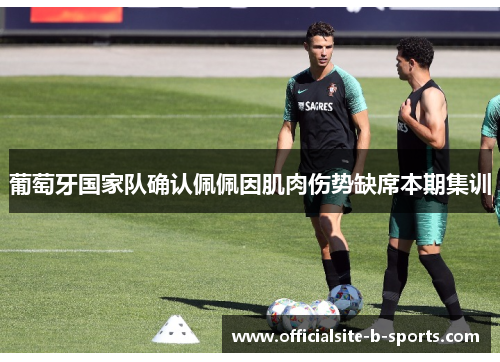 葡萄牙国家队确认佩佩因肌肉伤势缺席本期集训